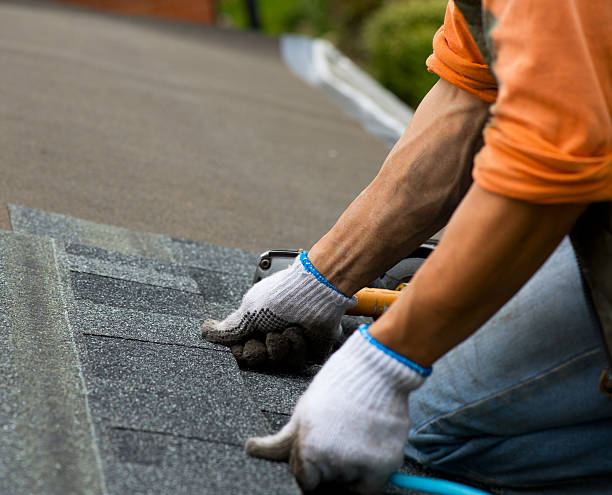 Best Shingle Roofing Installation  in Valenti, NE